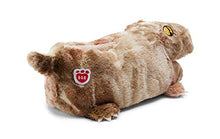 Load image into Gallery viewer, Build A Bear Little Boys Carnosaurus Dinosaur Slippers Size XS 9/10 Brown

