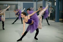 Load image into Gallery viewer, Dance Academy: Season 1, Volume 1
