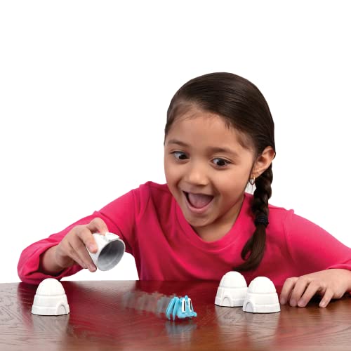 Yeti Forgetti - Award-Winning Children's Game - Hey, Where'd That Crab Go? - Ages 4+ - 2-4 Players
