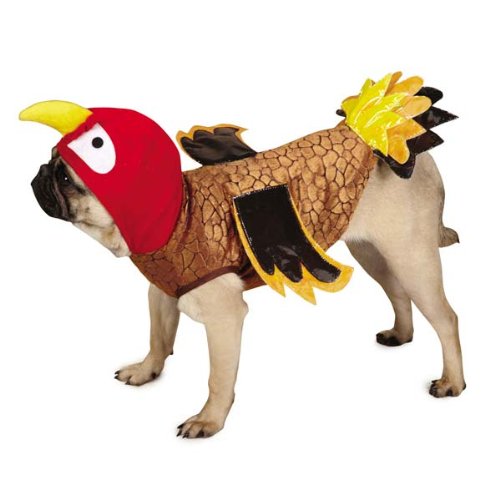 Pug in a turkey costume with red hood, brown body and yellow tail feathers