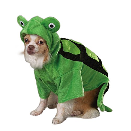 Chihuahua in a green plush turtle costume with an eyed hood and dark shell