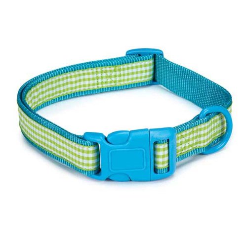 Green and white gingham ribbon collar on turquoise nylon with a blue buckle