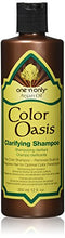 Load image into Gallery viewer, one &#39;n only Argan Oil Color Oasis Clarifying Shampoo, 12 Ounce
