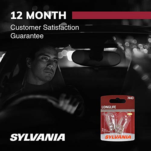 Driver at night beside the bulb pack, 12 month customer satisfaction guarantee