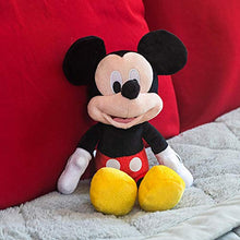 Load image into Gallery viewer, Disney 10800M Large Beanbag Plush for 48 months to 180 months, with Hangtag in PDQ, 9-10.5&quot;, Multicolor
