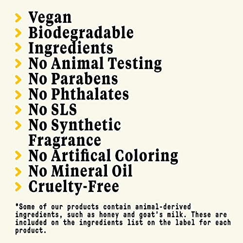 Alaffia Neem Tumeric Day Cream