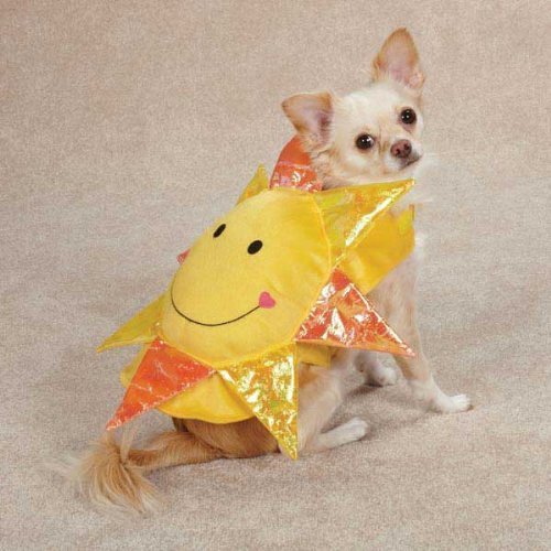 Zack & Zoey Happy Day Pet Costume - Yellow (M)