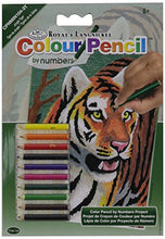 Load image into Gallery viewer, Darice Mini Colour Pencil by Number Kit 5&quot;X7&quot;-Jungle Tiger
