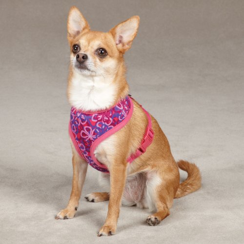 Chihuahua sitting facing forward in the pink flower harness