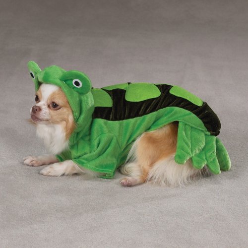 Chihuahua lying down in the green turtle costume with shell and tail