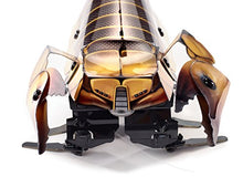 Load image into Gallery viewer, Kamigami Scarrax Robot - Discontinued by Manufacturer

