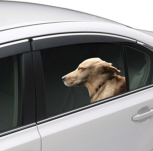 Colorbok Joy Riders Golden Retriever Window Cling UPC: 765468100012