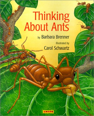 Thinking About Ants - Realmdrop Shop