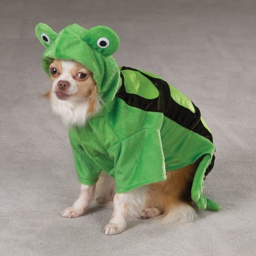 Chihuahua sitting in the hooded green turtle costume, front view