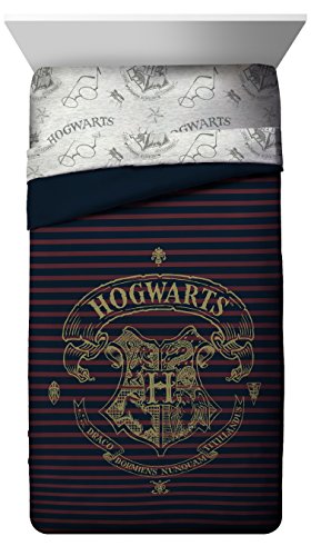 Jay Franco Spellbound Twin/Full Comforter (Offical Harry Potter Product), Multi