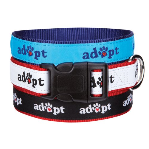 Casual Canine Nylon Adopt Dog Collar, 14-20-Inch, Blue
