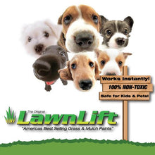 Load image into Gallery viewer, Lawnlift Ultra Concentrated (Green) Grass Paint 8oz. = 2.5 Quarts of Product.
