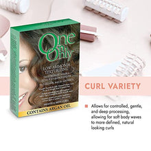 Load image into Gallery viewer, One &#39;n Only Low-Ammonia Texturizing Perm with Argan Oil

