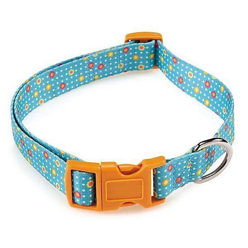 Turquoise dot collar with small red and yellow flowers and an orange buckle