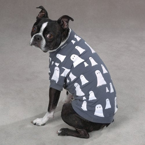 Boston terrier sitting in the grey ghost print tee, looking back