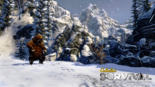 Brown bear standing on its hind legs in a snowy mountain valley