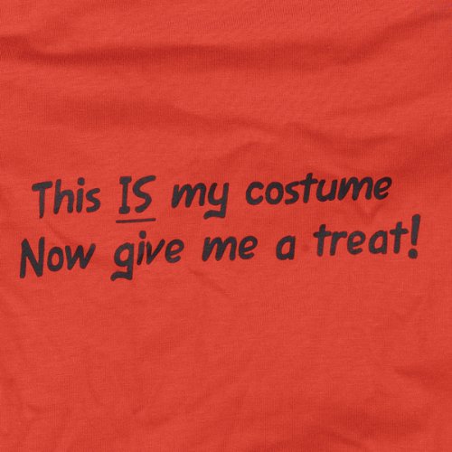 Zack & Zoey Polyester/Cotton This is My Costume Dog Tee, XX-Small