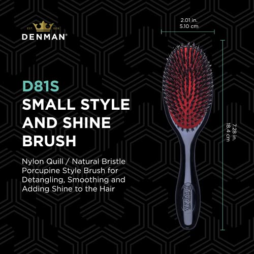 D81S small style and shine brush, 2 by 7.3 inches, with mixed bristles