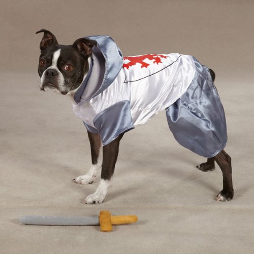 Boston terrier standing in the knight costume with legs and hood