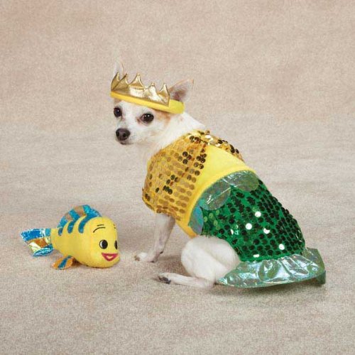 Chihuahua in a sequin mermaid costume and gold crown beside a plush fish