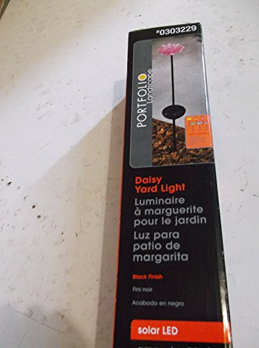 Portfolio Landscape Daisy Yard Light box, solar LED, black finish