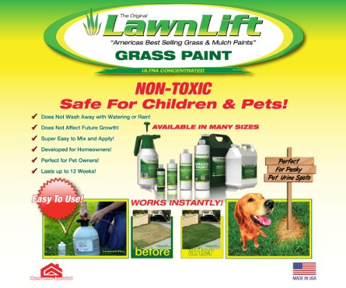 LawnLift grass paint flyer: non-toxic, safe for children and pets, with before and after lawn