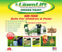 Load image into Gallery viewer, Lawnlift Ultra Concentrated (Green) Grass Paint 8oz. = 2.5 Quarts of Product.
