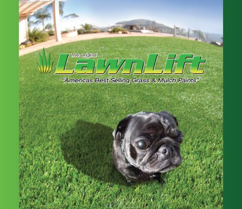 Black pug sitting on bright green grass under the LawnLift name