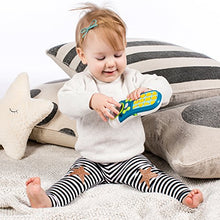 Load image into Gallery viewer, Baby Einstein Click &amp; Discover Remote
