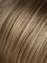 Load image into Gallery viewer, Revlon Swirlz Frosted Ponytail Hair Piece Frosted
