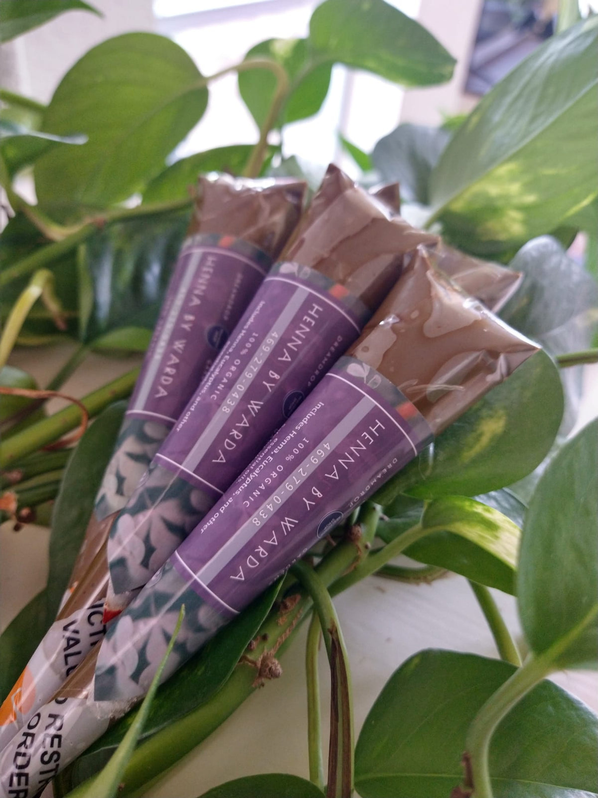 Three purple-labelled henna cones resting on green pothos leaves